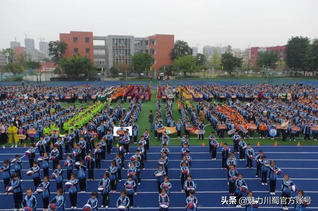 生命因运动而精彩节目串词,生命因运动而精彩小学展板设计