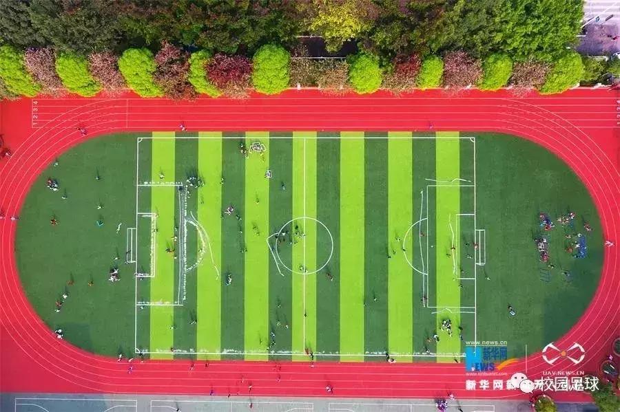 学习田径两不误,学习体育两不误