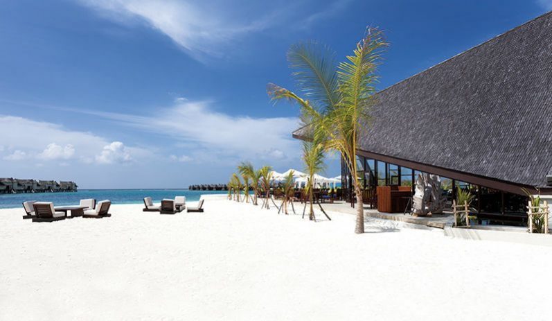 马尔代夫卓美亚德瓦娜芙希岛,马尔代夫哈拉薇莉岛旅游攻略