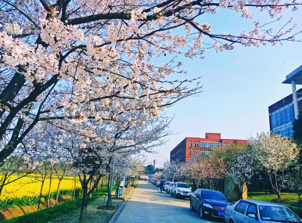 武汉外语外事职业学院新生指南,武汉外语外事职业学院官网是什么