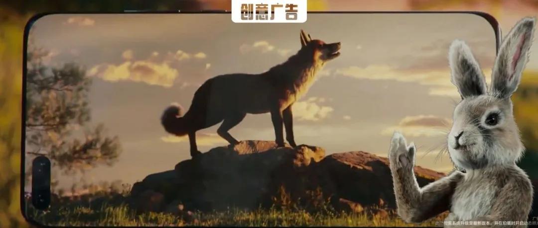 2020成功的广告营销,湖南卫视星辰大海广告