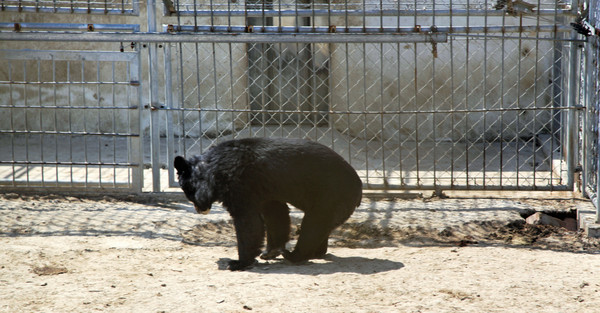 春游江淮请你来滁州版,春游江淮等您来