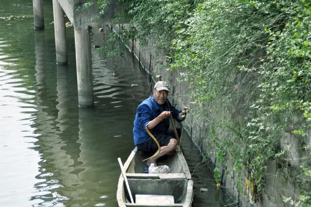 为什么河岸边石头缝里钓到的黄鳝更肥更大?老头给了我答案