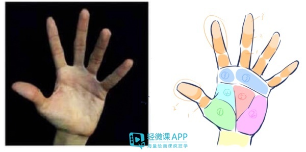 动漫人物的手怎么画初学者,动漫人物的手怎么画教程图片
