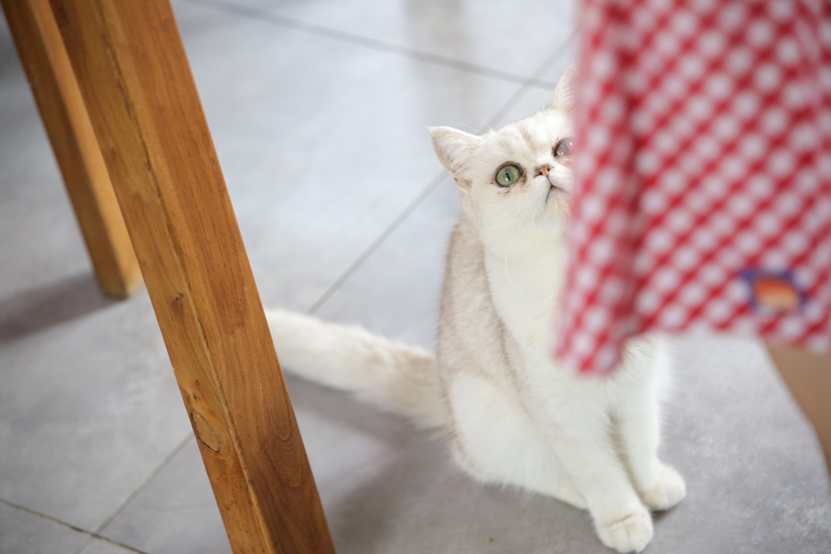 腾龙35mmf2.8手动镜头,旅拍佳能镜头推荐