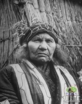 山海经扶桑国记录,山海经中的扶桑文化根