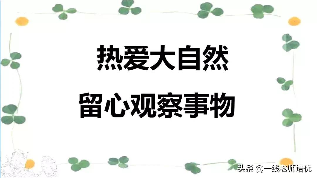三年级语文金色的草地展现了什么,语文三年级上金色的草地课文讲解