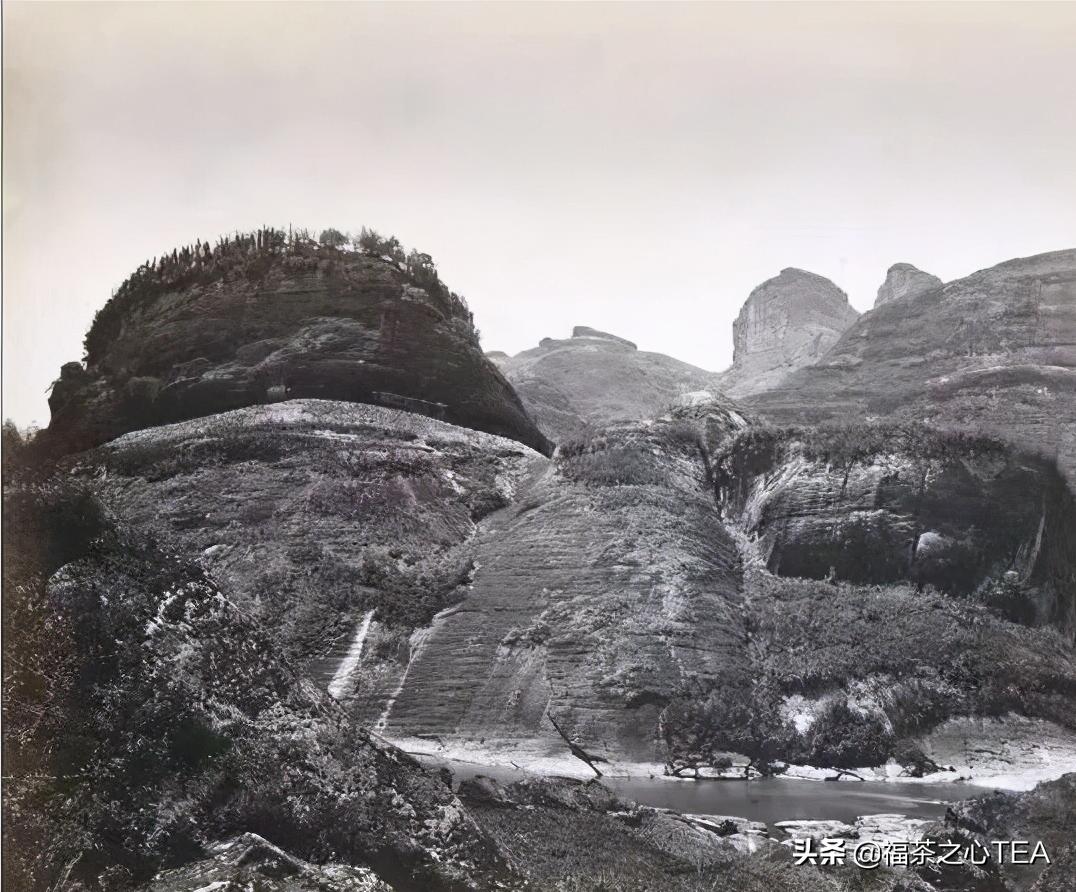 岩茶价格到底贵不贵？——从历史岩茶价格看当今岩茶价格