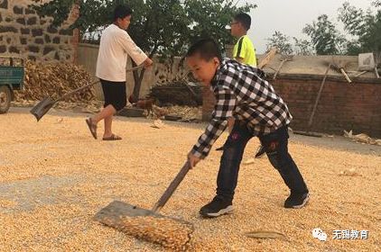 翻地、播种…无锡老小将课堂搬到了田间地头