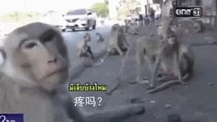 少了中国游客，整个旅游生态圈都乱了！