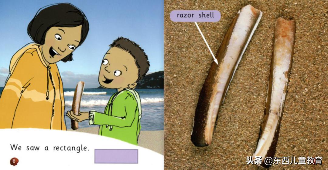 如果2-8岁孩子急需英语启蒙阅读，选分级王者《大猫》绝对没错