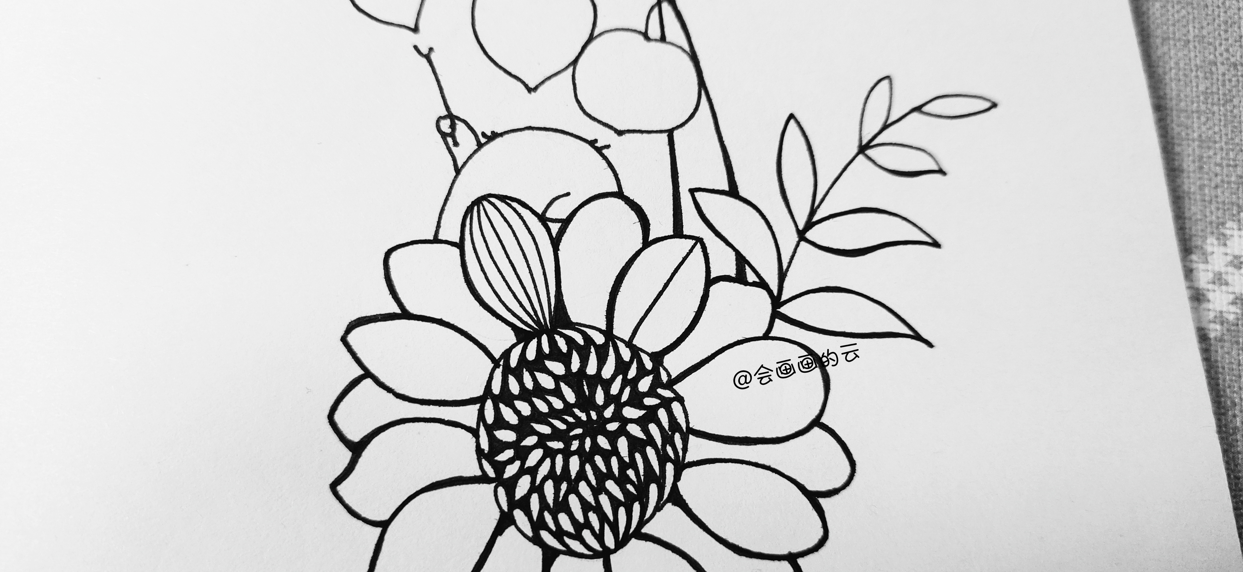 花卉线描简笔画,画花卉教程简笔画