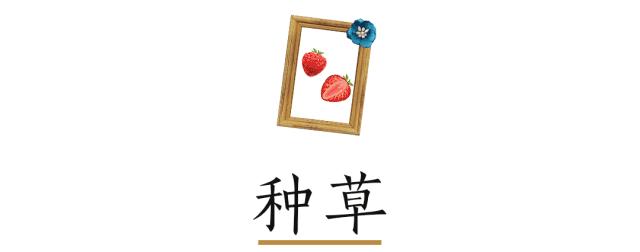 超级显白的口红夏天,美爆春夏的口红