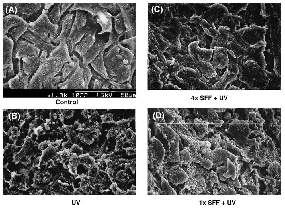 SK-II神仙水是用什么做的,skii神仙水的效果是什么
