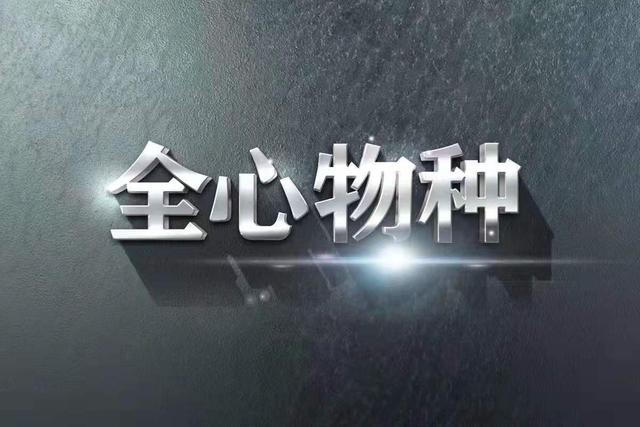 瑾霸主创业项目,宝妈如何自己创业逆袭