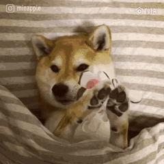 不吹不黑的网红护肤品,爆火的面膜好用吗