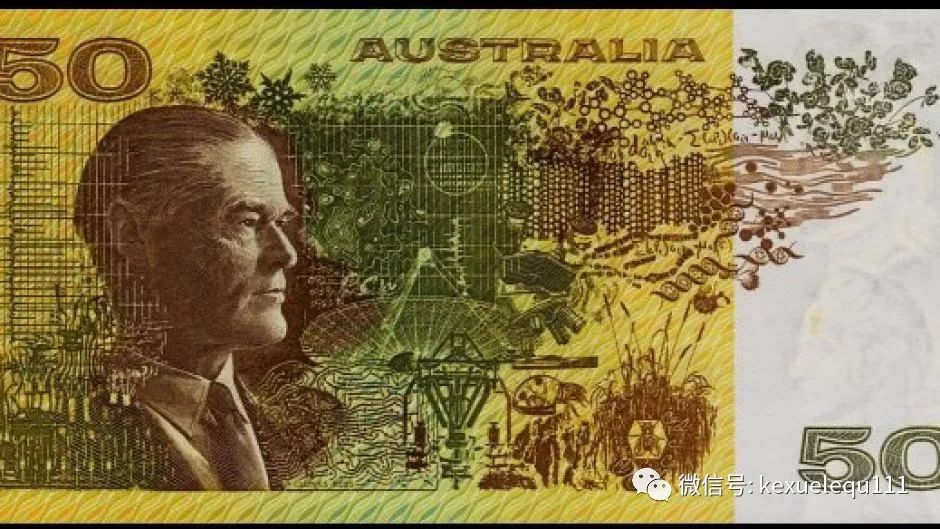 杀死一只兔子的预兆,杀死兔子的方法