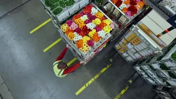 bbc中国探秘纪录片,bbc探秘印尼爪哇古洞