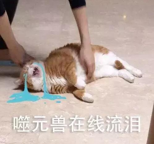 我这半年用光的哪是空瓶，是宝藏啊！