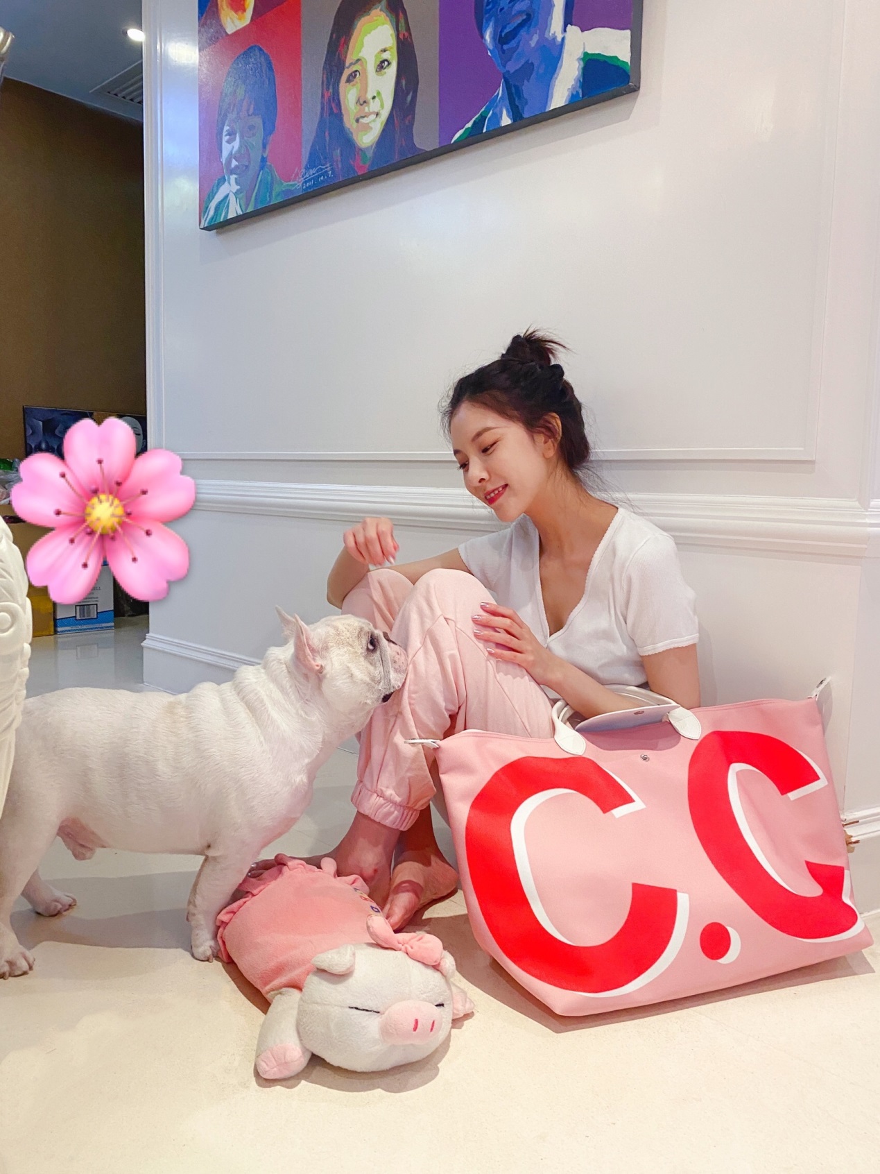 宋妍霏国货包包,宋妍霏小众包包