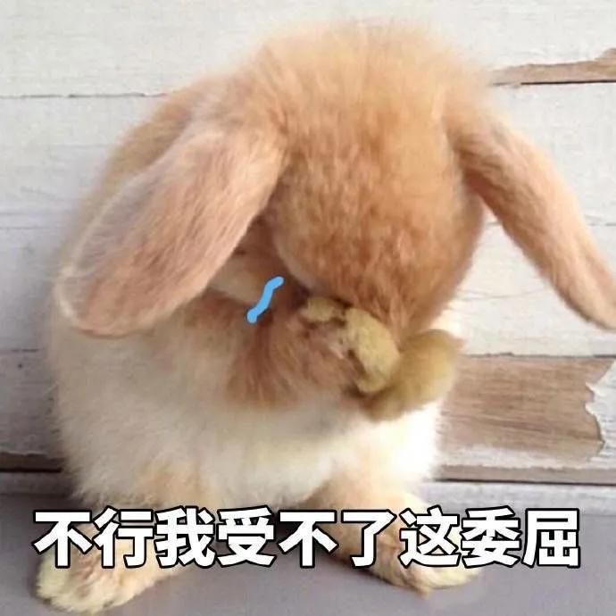 你知道的太多了什么梗,如何知道更多网络梗