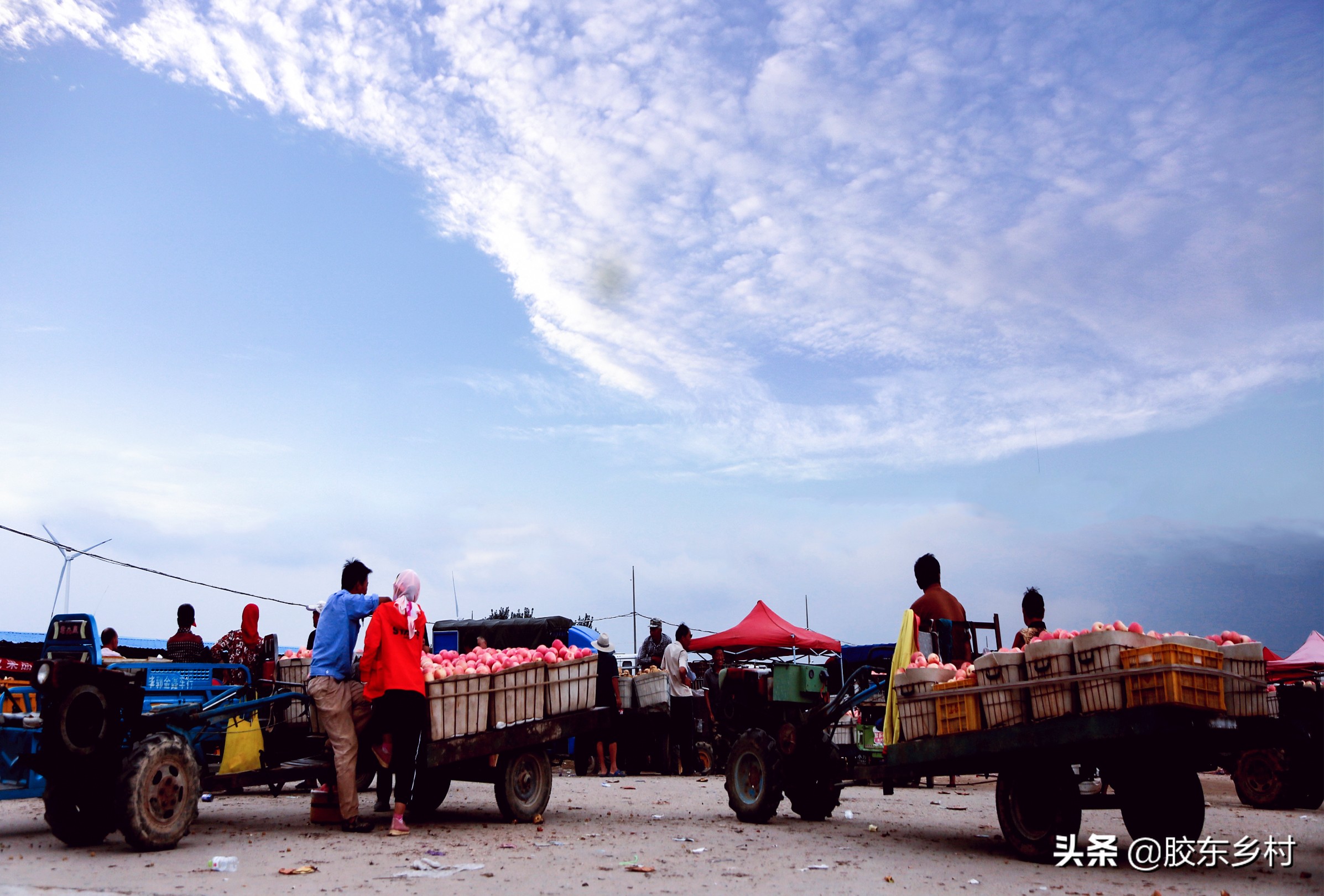 2019山东红富士苹果开秤价是多少,今年苹果价格红富士是贵还是便宜