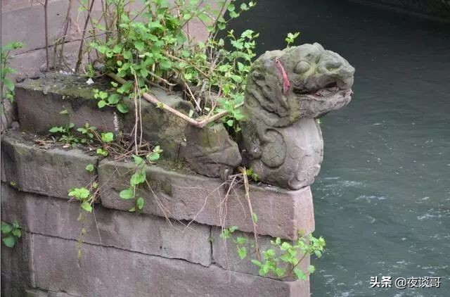 头条|带你回到50年前的大丰，感受下什么叫日新月异！