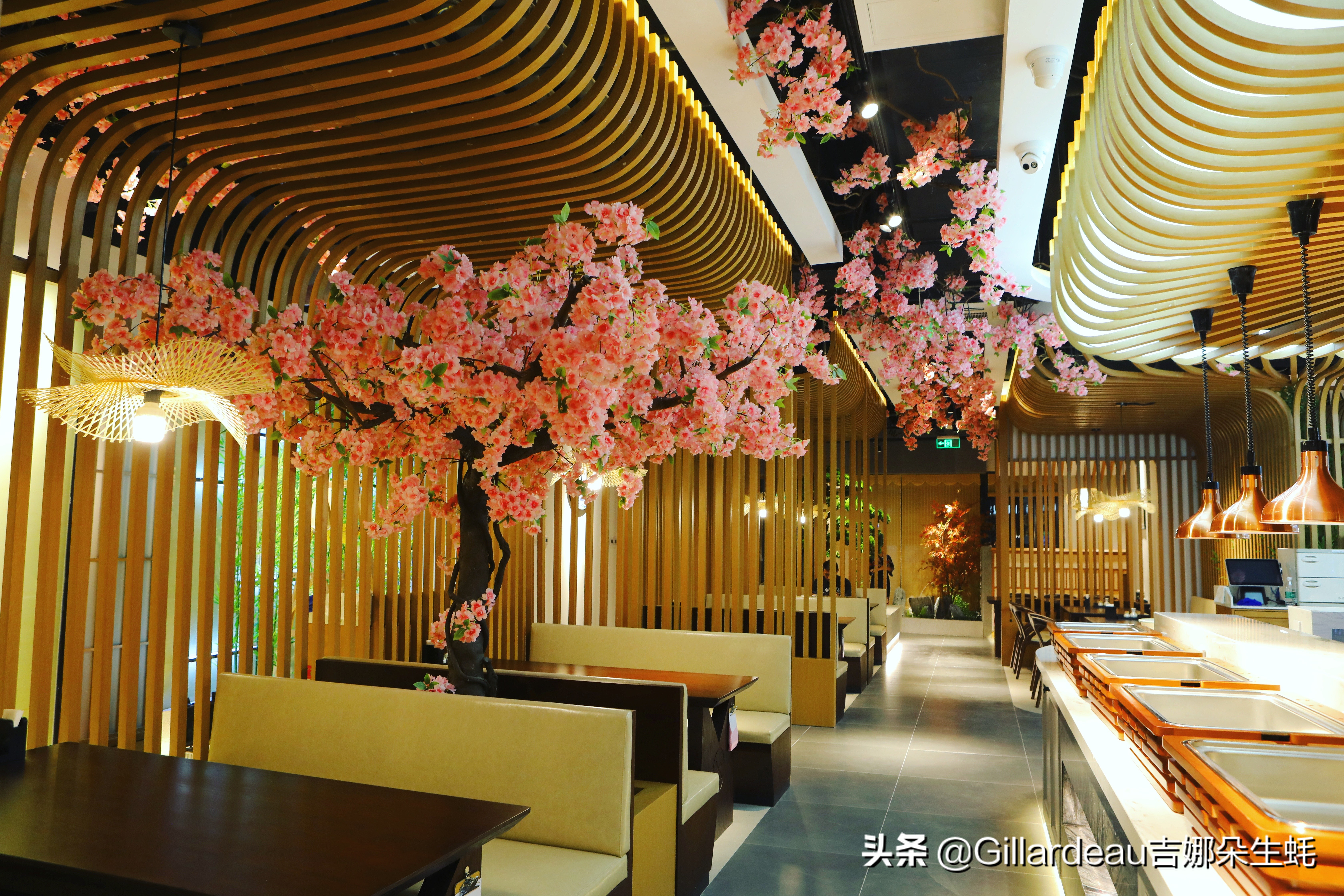 吉娜朵松子料理:在全面营业的日料店里,蚝自由地吃起来