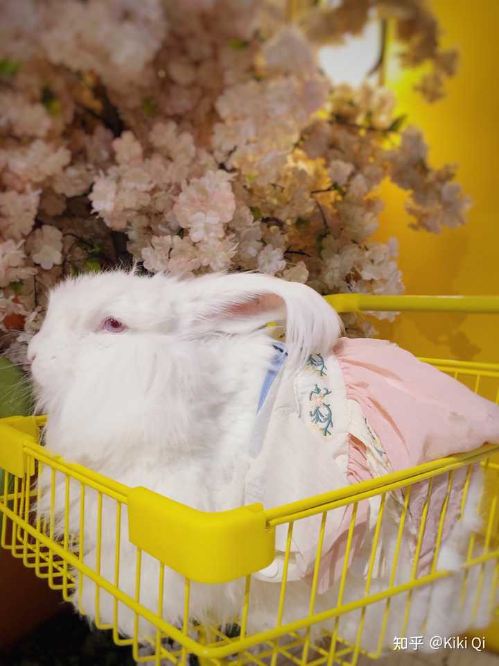 郑州有什么好吃的美食,郑州有什么好玩的地方情侣