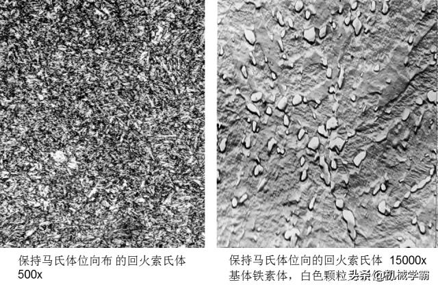 马氏体、奥氏体、珠光体，20种材料彩色金相，带你轻松识别
