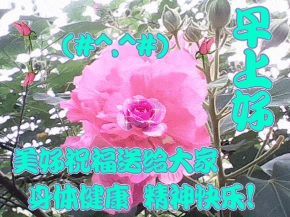 最新早安心语大全,最新早安心语经典语录图片