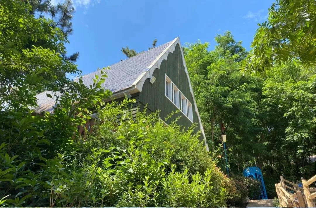 青岛最适宜旅游的景点有几个,青岛过年免费旅游景点