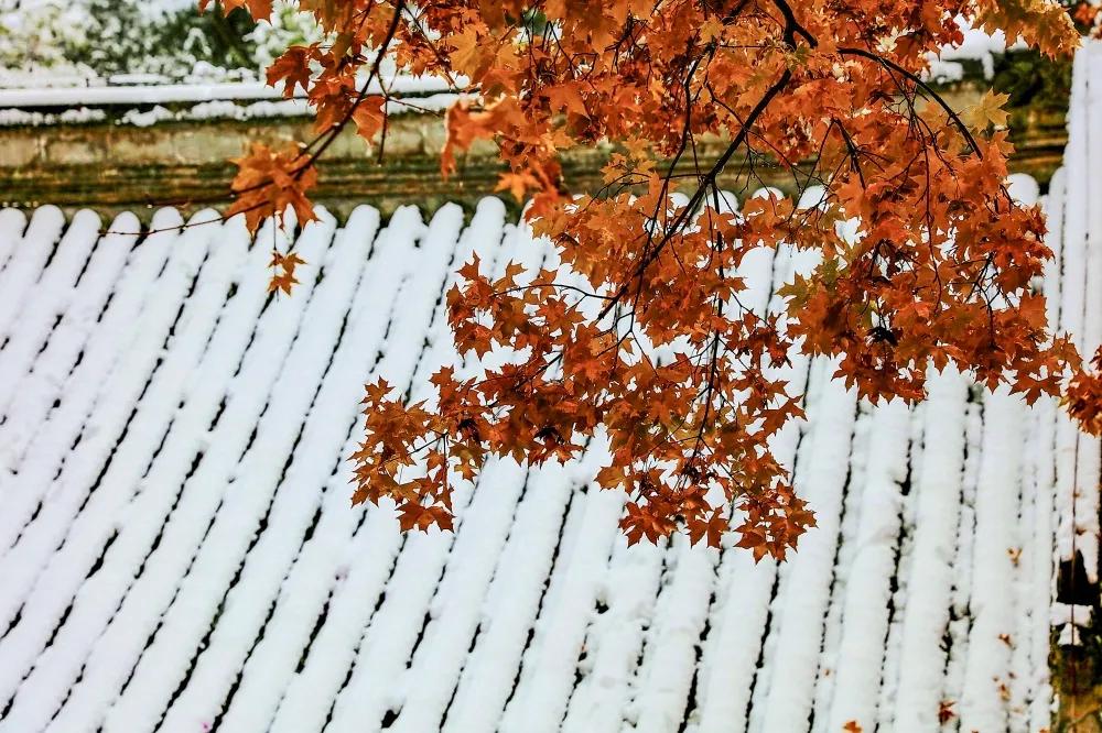 灏忎節瀵ㄥ弻榫欏场,浜タ灏忎節瀵ㄥ弻榫欏场