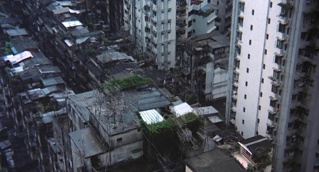 女偷渡客的血泪史电影,偷渡女悲惨遭遇的电影