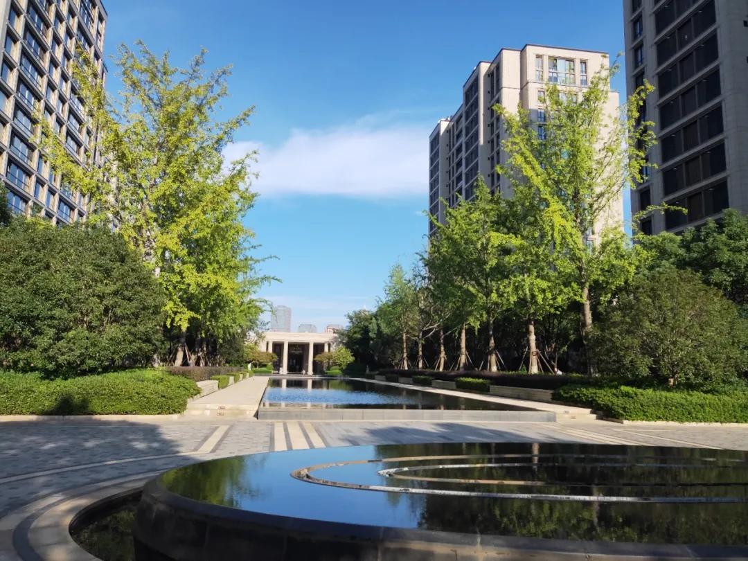 九龙壹号院的业主维权,九龙里业主维权