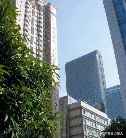 南山几大学位名校你该如何选择，学位刚需末班车时机来临