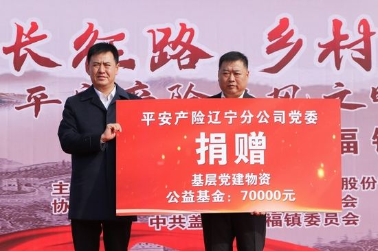 平安产险党建工作总结,党建引领安全生产技术创新