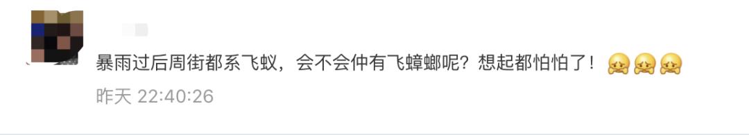 南方暴雨过后的水蚁有多可怕,暴雨后大水蚁怎么处理