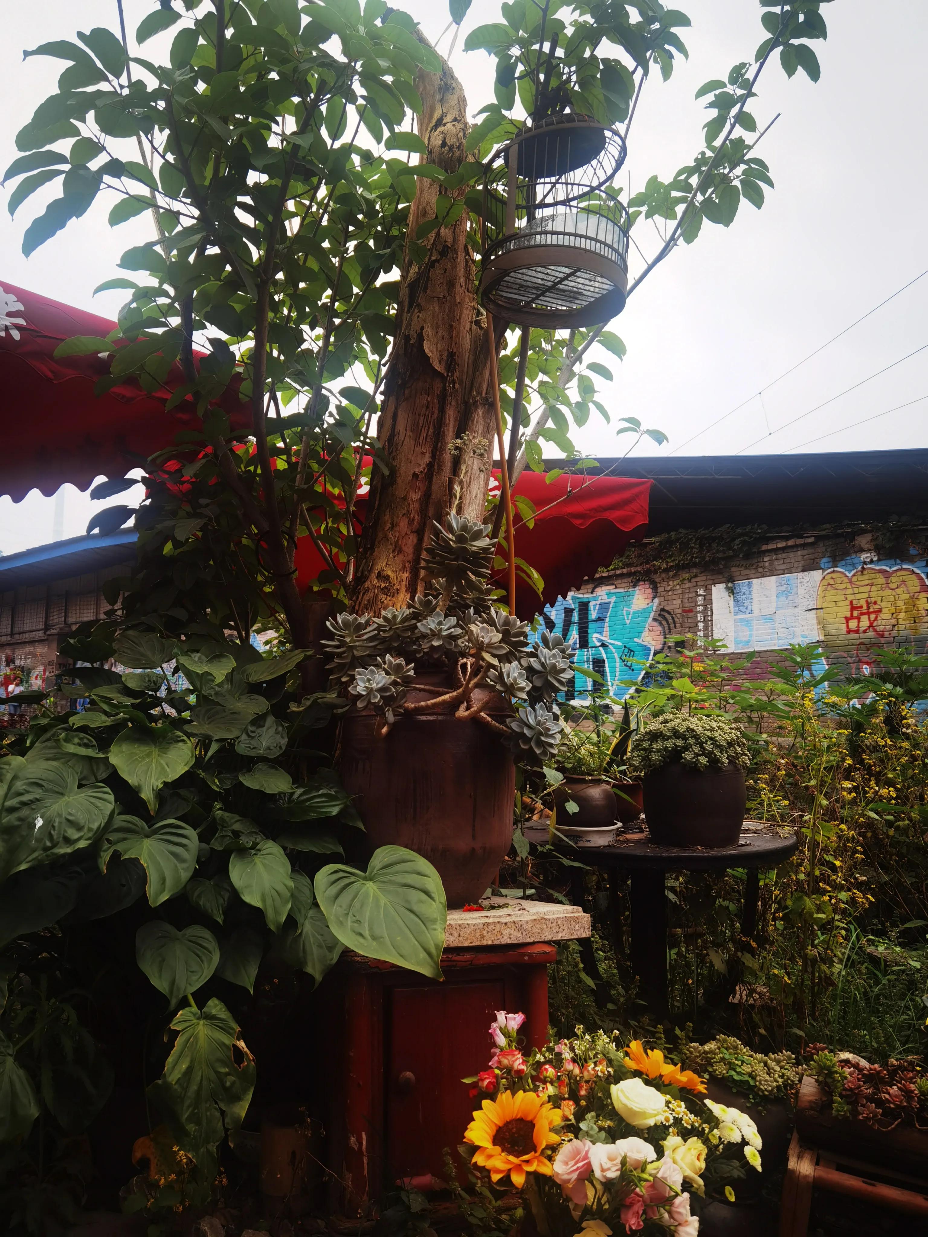 肖战热爱可抵岁月漫长采访,肖战为自己的热爱全力以赴