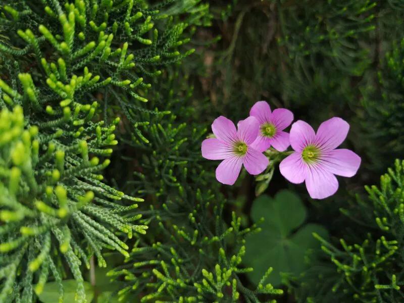 手拍世界,手拍世界作品专集