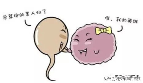 拼颜值拼能力的年代,拼颜值的时代