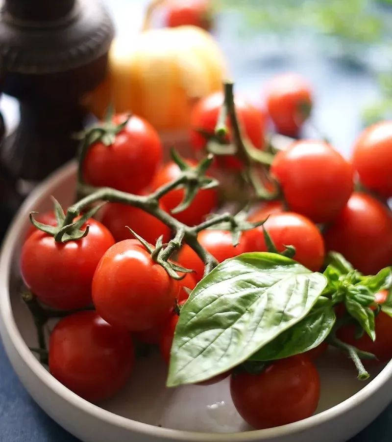 西餐煎牛排沙拉,经典牛排番茄意面