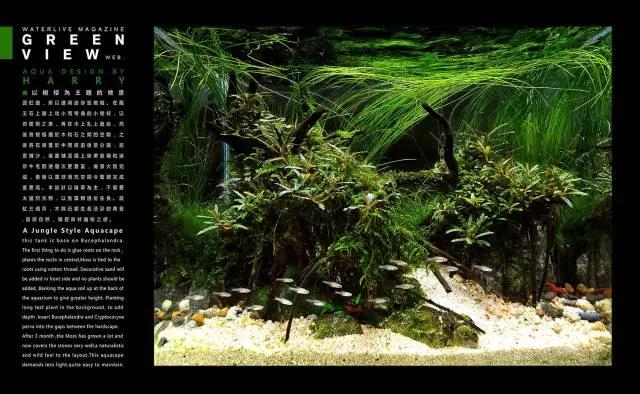 卡佩特k5辣椒榕为什么这么贵,辣椒榕k5为什么贵