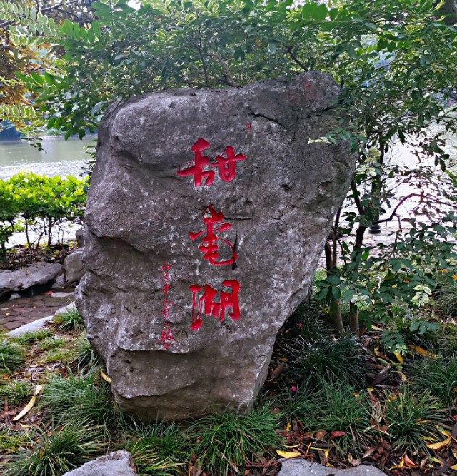 雨天的虹口公园,魔都虹口公园