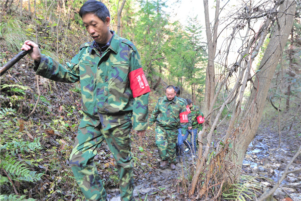 广西护林员要做什么,广西招募护林员