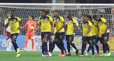 2024美洲杯是第几届美洲杯,美洲杯2024美洲杯赛程表