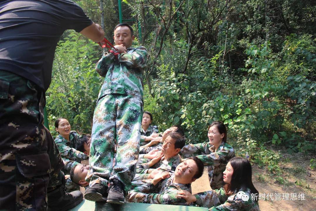 拓展训练背摔项目讲解,信任背摔