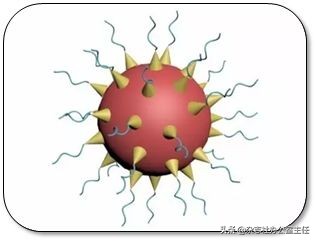 科研绘图流程模板,科研绘图教程