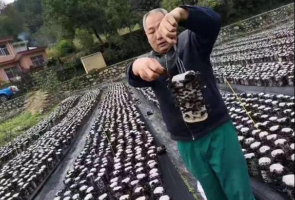 史上最强带货现场直播,全网最强带货商品