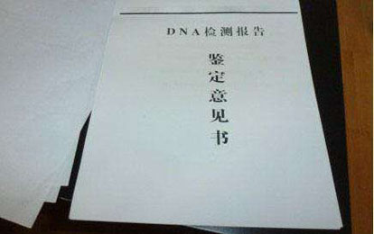 亲权鉴定与亲子鉴定哪个更准确,亲权司法鉴定是什么意思